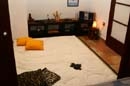 Estetica base e specifica