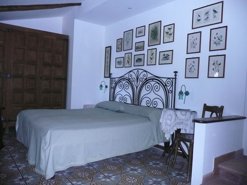 camera verde